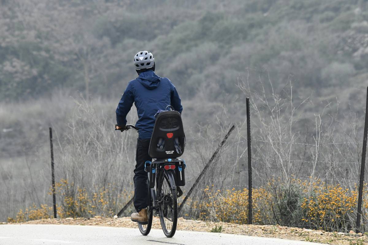 Cycling PDF for Weight Loss: 7 Proven Tips to Avoid Costly Mistakes